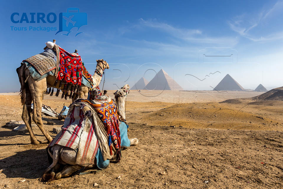 6 Days / 5 Nights Cairo - Luxor - Cairo