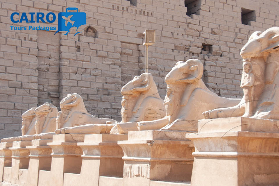 LUXOR CITY TOUR (3 DAYS SIGHTSEEING PACKAGE)