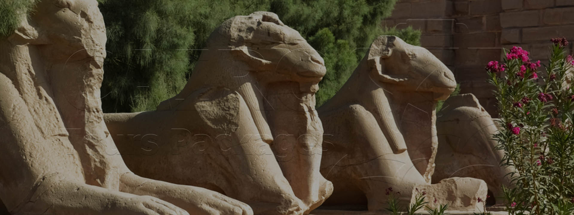 LUXOR CITY TOUR (3 DAYS SIGHTSEEING PACKAGE)