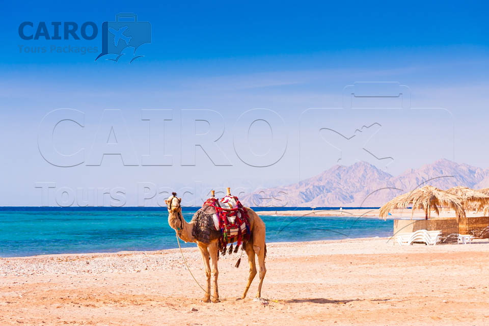 Cairo and The Red Sea Holiday – Pyramids & Hurghada