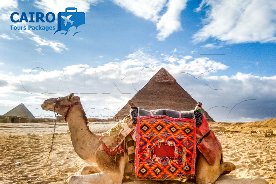 Honeymoon Package to Cairo, Alexandria and Hurghada