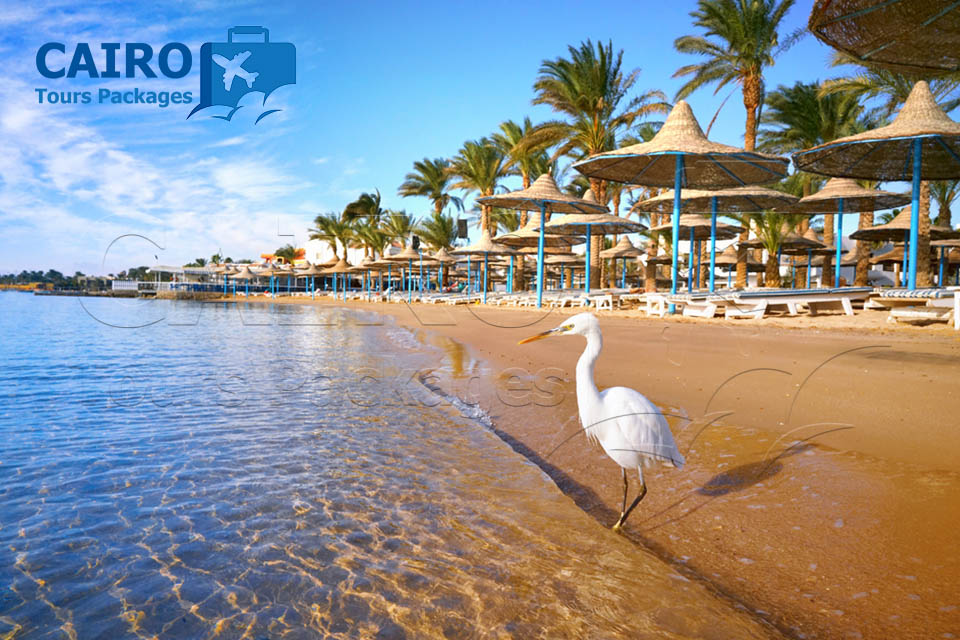 Honeymoon Package to Cairo, Alexandria and Hurghada
