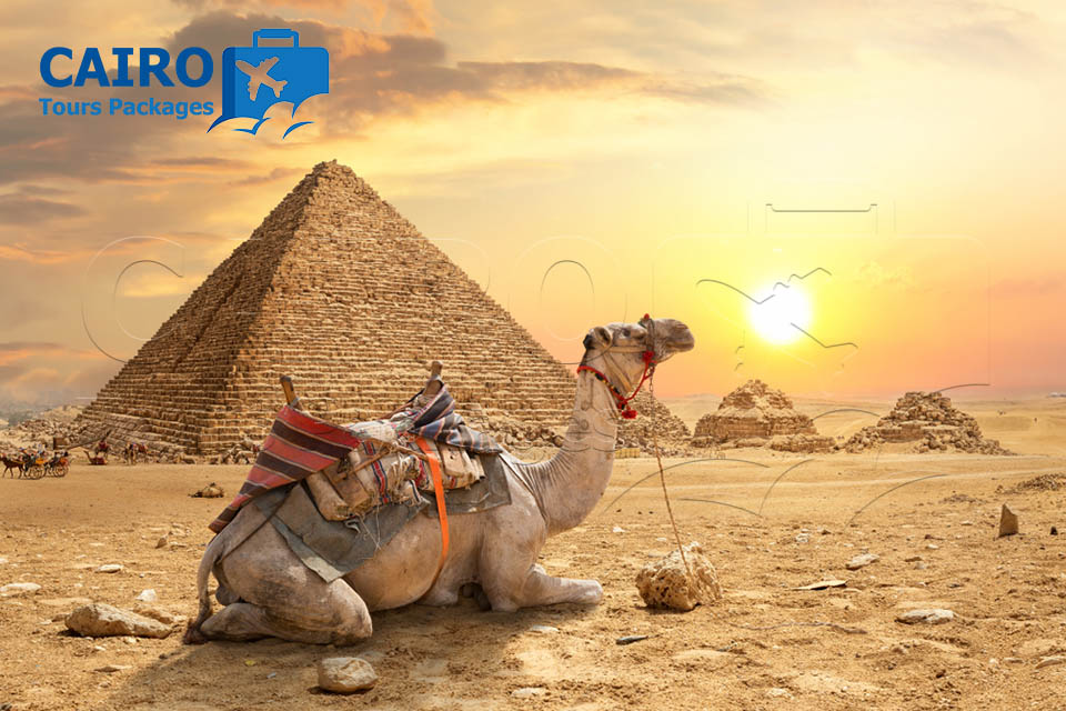 Cairo and Sharm El Sheikh Honeymoon Package