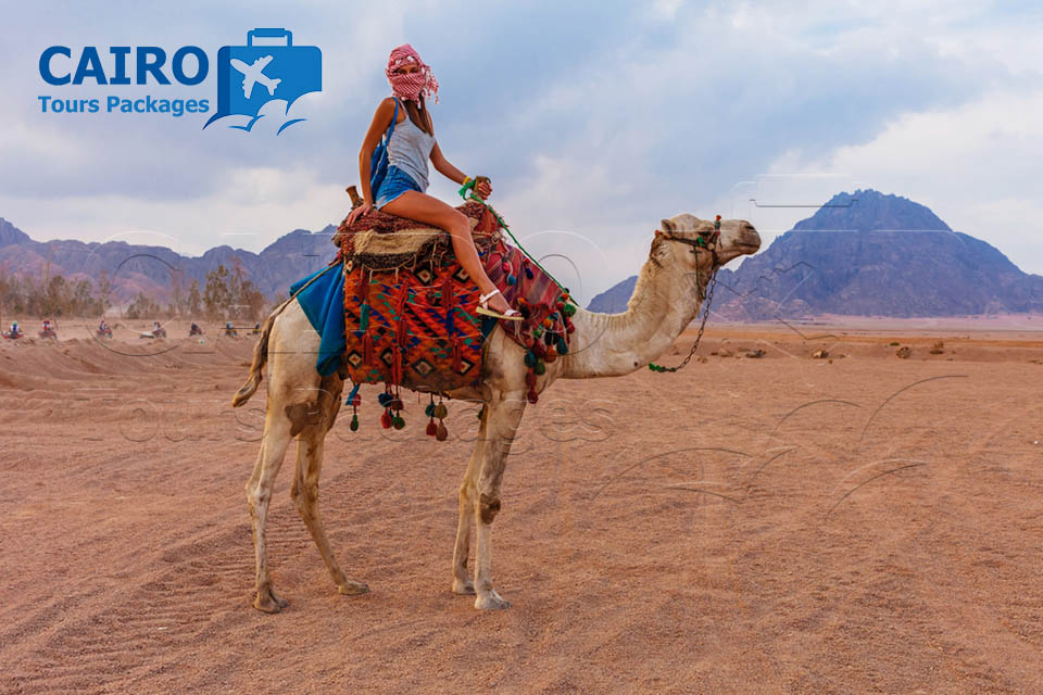 Cairo and Sharm El Sheikh Honeymoon Package