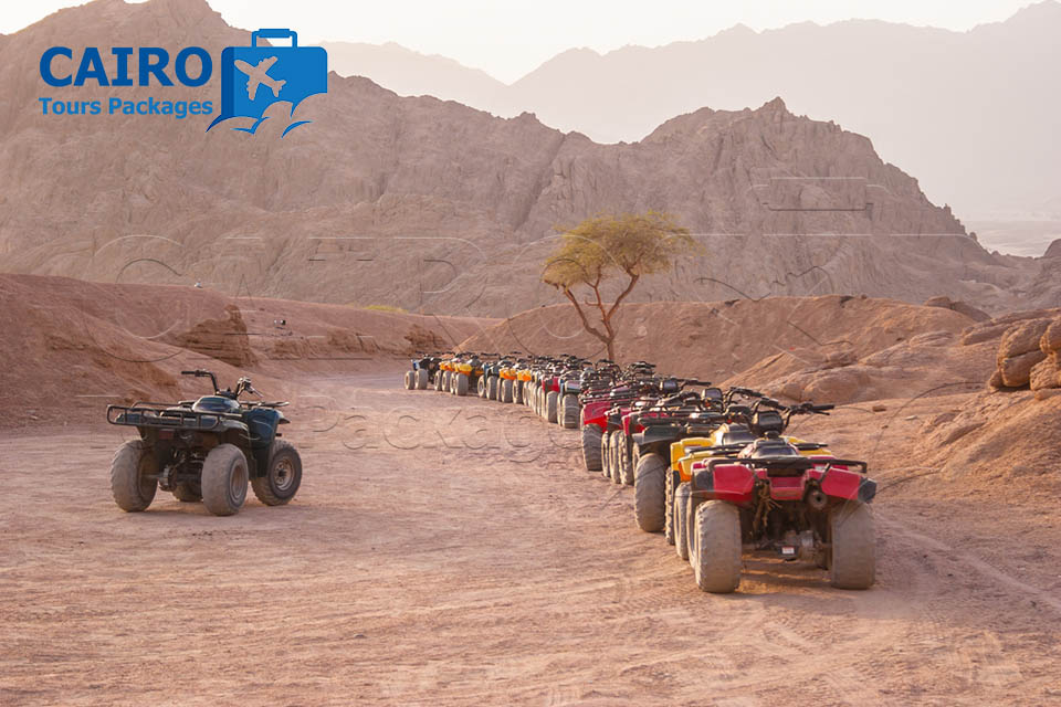 Cairo and Sharm El Sheikh Cheap Tours By bus