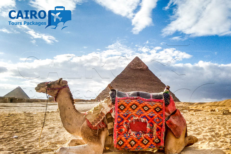 Cairo and Sharm El Sheikh Cheap Tours By bus