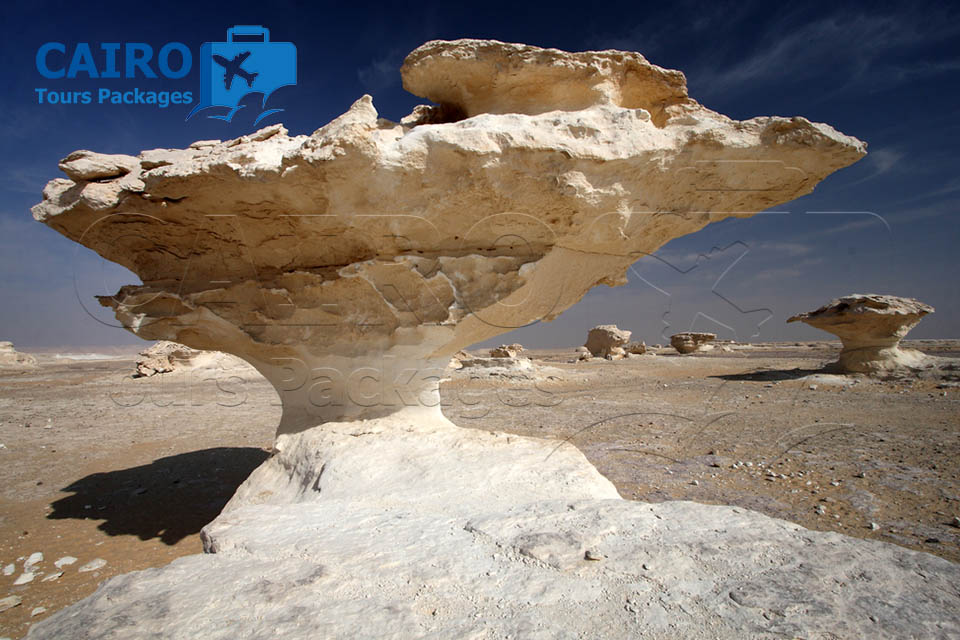 White Desert and Bahariya Oasis Tour 2 day 1 night