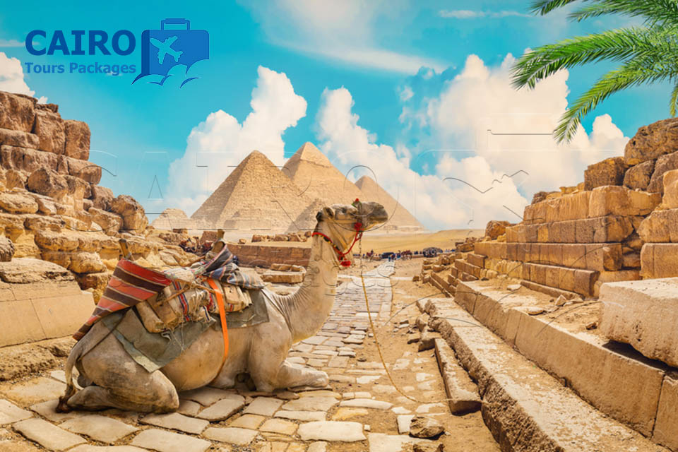 Luxury Egypt Tour Cairo, Luxor & Hurghada Red Sea