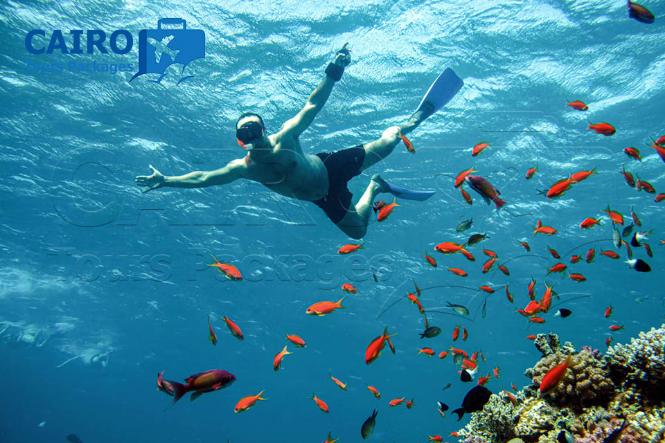 Luxury Egypt Tour Cairo, Luxor & Hurghada Red Sea