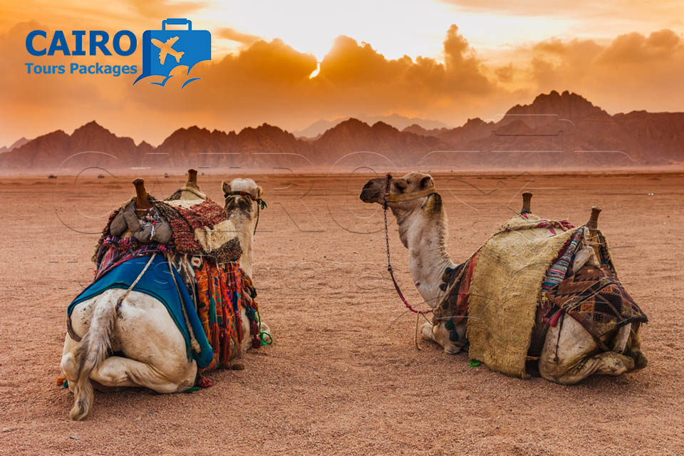 CAIRO AND SHARM EL SHEIKH LUXURY HOLIDAY
