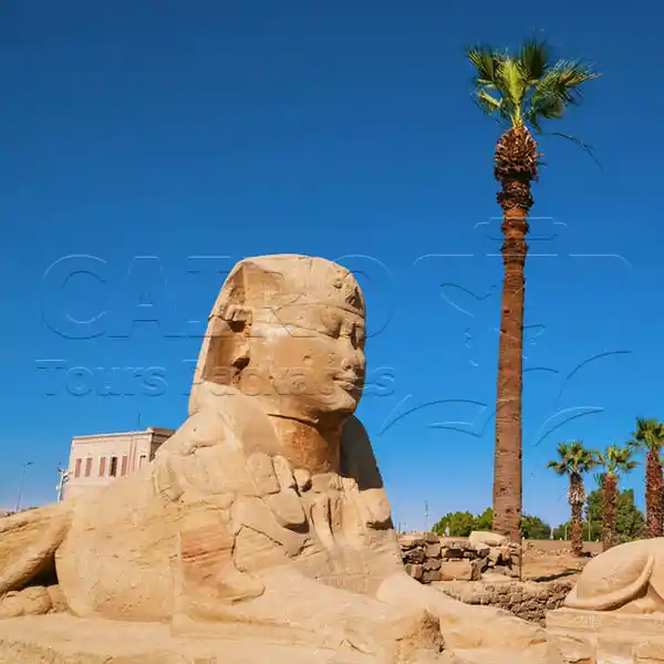 Luxury-Egypt-Tour-Cairo-Luxor-Hurghada-Red-Sea-v